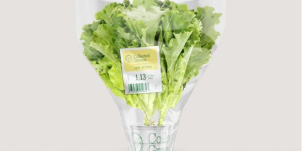 熱敏紙上的字消失了還可以恢復嗎？